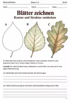 Vorschau - Arbeitsblätter - Blätter zeichnen Arbeitsheft Klasse 5–6 - Deckblatt
