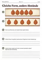 Vorschau - Arbeitsblätter - Herbstmuster drucken Arbeitsheft Klasse 5–6 - Seite 3