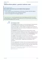 Vorschau - Unterrichtsreihen - Materialpaket: XXL - Paket Erdkunde - Seite 3