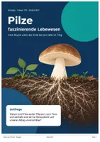 Vorschau - Unterrichtsreihen - Pilze – Aufbau, Myzel, Fortpflanzung, Hefe, Schimmel & Ökologie | Biologie Klasse 7/8 | Arbeitsblätter + Lösungen - Deckblatt
