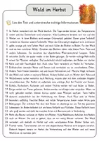 Vorschau - Arbeitsblätter - Wald im Herbst Lesetext mit Fragen + Lösungen Leseverstehen Wortspeicher didaktische Reserve Lesen Leseverständnis - Seite 3