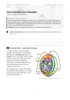 Vorschau - Arbeitsblätter - Vom Einzeller zum Vielzeller – Volvox-Reihe & Evolutionsexperiment | Klasse 9 | mit Lösungen - Seite 3
