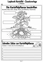Vorschau - Unterrichtsreihen - Mein Lapbook zur Kartoffel - Seite 1