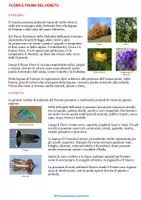 anteprima - Esercizi - Viaggio Attorno All’Italia_ Veneto - Pagina 3