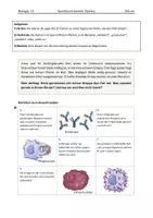 Vorschau - Stundenentwürfe - Mystery: Spezifische Immunreaktion inkl. Präsentation - Seite 1
