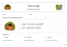 Vorschau - Stationenlernen - Tiere im Wald Erste Sätze lesen Satz Bild Zuordnung - Seite 1