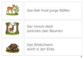 Vorschau - Stationenlernen - Tiere im Wald Erste Sätze lesen Satz Bild Zuordnung - Seite 3