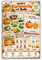 Vorschau - Spiele - Unsere Kürbiswoche mit Bolle | Kürbis Morgenkreis Kita & Kindergarten | Bildgeschichte, Legekreis, Bewegungsspiel & Fingerspiel - Deckblatt