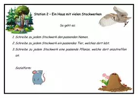 Vorschau - Stationenlernen - Thema Wald / Waldtiere / Pilze / Bäume - Seite 2