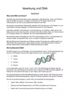 Vorschau - Unterrichtsreihen - Vererbung und DNA Klasse_7-8 - Seite 2