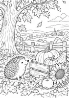 Vorschau - Mal- und Bastelvorlagen - Herbst-Malbuch – Liebevolle Ausmalbilder rund um Natur, Tiere & Kürbisse - Seite 3