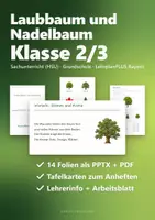 Vorschau - Arbeitsblätter - Tafelbilder Sachunterricht Grundschule Paket – 3 Präsentationen: Bäume, Wasserkreislauf, Jahreszeiten | PowerPoint + PDF (HSU) - Seite 1