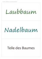 Vorschau - Arbeitsblätter - Tafelbilder Sachunterricht Grundschule Paket – 3 Präsentationen: Bäume, Wasserkreislauf, Jahreszeiten | PowerPoint + PDF (HSU) - Seite 3