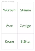 Vorschau - Arbeitsblätter - Bäume Tafelbild & Präsentation Klasse 2/3 – Teile des Baumes, Laubbaum und Nadelbaum | PowerPoint + PDF, Tafelkarten, Arbeitsblatt - Seite 3