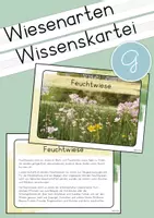 Vorschau - Stationenlernen - Wiesenarten Wissenskartei - Deckblatt