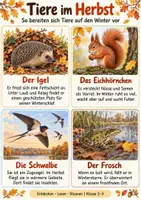 Vorschau - Arbeitsblätter - Herbst entdecken – Materialpaket für den Sachunterricht in Klasse 2–3 - Seite 2
