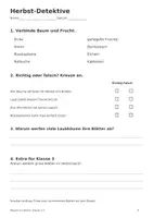 Vorschau - Arbeitsblätter - Bäume im Herbst - Klasse 2-3 - Seite 3