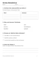 Vorschau - Arbeitsblätter - Ernte im Herbst - Klasse 2-3 - Seite 3