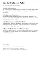 Vorschau - Arbeitsblätter - Der Apfel - Klasse 2-3 - Seite 2
