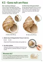 Vorschau - Arbeitsblätter - Weinbergschnecke: Wachstum und Überwinterung – Mission Schneckenhaus | Sachunterricht Klasse 3-4 - Seite 3