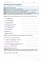 Vorschau - Stundenentwürfe - Materialpaket: XXL Sammlung Latein - Arbeitsblätter, Klausuren, Reihen, Lapbooks - Seite 1