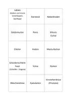 Vorschau - Spiele - Partnerkarten Sexualkunde_ Begriffe spielerisch lernen - Seite 2