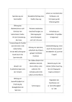 Vorschau - Spiele - Partnerkarten Sexualkunde_ Begriffe spielerisch lernen - Seite 3