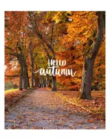 anteprima - Altro tipo di materiale - Hello Autumn- Book - Pagina 1