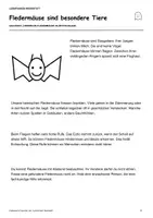 Vorschau - Mal- und Bastelvorlagen - Finas Fledermausforscher: Sachtext & Leporello - Seite 2