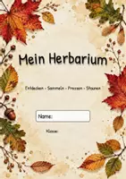 Vorschau - Stundenentwürfe - Komplettpaket Sachunterricht Klasse 1/2 - Seite 2