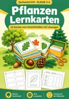 Vorschau - Spiele - Pflanzen Lernkarten, Klasse 3-4, 32 Karten - Deckblatt