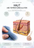 Vorschau - Unterrichtsreihen - Hormone, Stoffwechsel & Regulation – Biologie-Bundle | 5 komplette Einheiten zu Blutzucker, Diabetes, Leber, Nieren & Haut - Seite 1