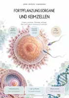 Vorschau - Unterrichtsreihen - Fortpflanzungsorgane & Keimzellen – Biologie-Gesamtpaket | Komplette, differenzierte Unterrichtseinheit: Eizelle, Spermien, Meiose - Deckblatt