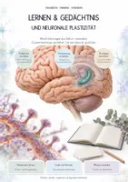Vorschau - Unterrichtsreihen - Lernen & Gedächtnis – Biologie-Gesamtpaket | Komplette, differenzierte Unterrichtseinheit: Hippocampus, Synapsen, Lernstrategien - Deckblatt