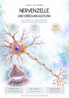 Vorschau - Unterrichtsreihen - Nervenzelle & Erregungsleitung – Biologie-Gesamtpaket | Komplette, differenzierte Unterrichtseinheit: Aktionspotenzial, Synapse, Myelin - Deckblatt