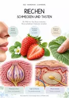 Vorschau - Unterrichtsreihen - Riechen, Schmecken & Tasten – Biologie-Gesamtpaket | Komplette, differenzierte Unterrichtseinheit: Sinnesorgane, Rezeptoren, Wahrnehmung - Deckblatt