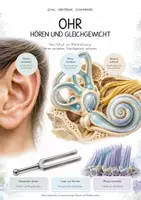 Vorschau - Unterrichtsreihen - Ohr, Hören & Gleichgewicht – Biologie-Gesamtpaket | Komplette, differenzierte Unterrichtseinheit: Schall, Cochlea, Haarzellen - Deckblatt