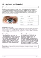 Vorschau - Unterrichtsreihen - Auge & Sehen – Biologie-Gesamtpaket | Komplette, differenzierte Unterrichtseinheit: Augenaufbau, Netzhaut, Akkommodation, Farbsehen - Seite 3