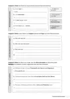 Vorschau - Arbeitsblätter - Satzglieder: Das Akkusativobjekt (dreifach differenziert) - Seite 2