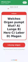 Vorschau - Test - Sachkunde-Paket: 19 Lernkarten-Hefte Kl. 1–4 + Digital - Seite 2