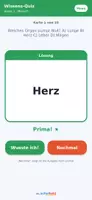 Vorschau - Test - Sachkunde-Paket: 19 Lernkarten-Hefte Kl. 1–4 + Digital - Seite 3