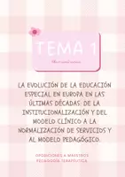 Vista previa - Evaluación - TEMARIO COMPLETO OPOSICIONES PEDAGOGÍA TERAPÉUTICA - 25 TEMAS LOMLOE - 2026 - página 2