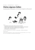 Vorschau - Arbeitsblätter - Mundschleimhaut mikroskopieren – Tierzelle & Pflanzenzelle | Klasse 5/6 | mit Hilfekarten und Lösungen - Seite 1