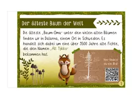 Vorschau - Merkblätter - WALD // Das kleine Buch der großen Waldrekorde - Seite 2