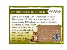 Vorschau - Merkblätter - WALD // Das kleine Buch der großen Waldrekorde - Seite 3