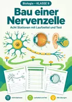Vorschau - Arbeitsblätter - Genetik und Zellbiologie Klasse 9-10: Gene, Mitose, DNA - Seite 1