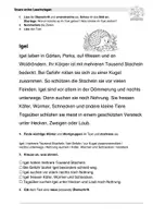 Vorschau - Arbeitsblätter - Lesestrategien einführen und üben. Sachtexte über Tiere im Wald - Seite 3