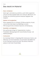 Vorschau - Arbeitsblätter - 🦔Igel entdecken im Kindergarten | Bildkarten, Naturwissen, Mengen & Basteln | 2–6 Jahre - Seite 2