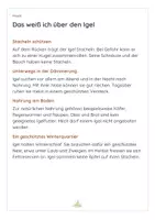 Vorschau - Arbeitsblätter - 🦔Igel entdecken im Kindergarten | Bildkarten, Naturwissen, Mengen & Basteln | 2–6 Jahre - Seite 3