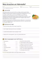 Vorschau - Arbeitsblätter - Nährstoffe und Ernährungspyramide Klasse 7–9 – Ernährung und Gesundheit, Hauswirtschaft | Arbeitsblätter mit Test und Lösungen - Seite 3